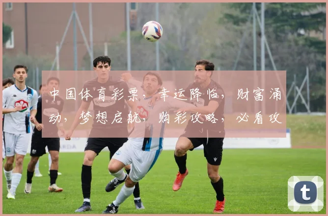中国体育彩票，幸运降临，财富涌动，梦想启航，购彩攻略，必看攻略